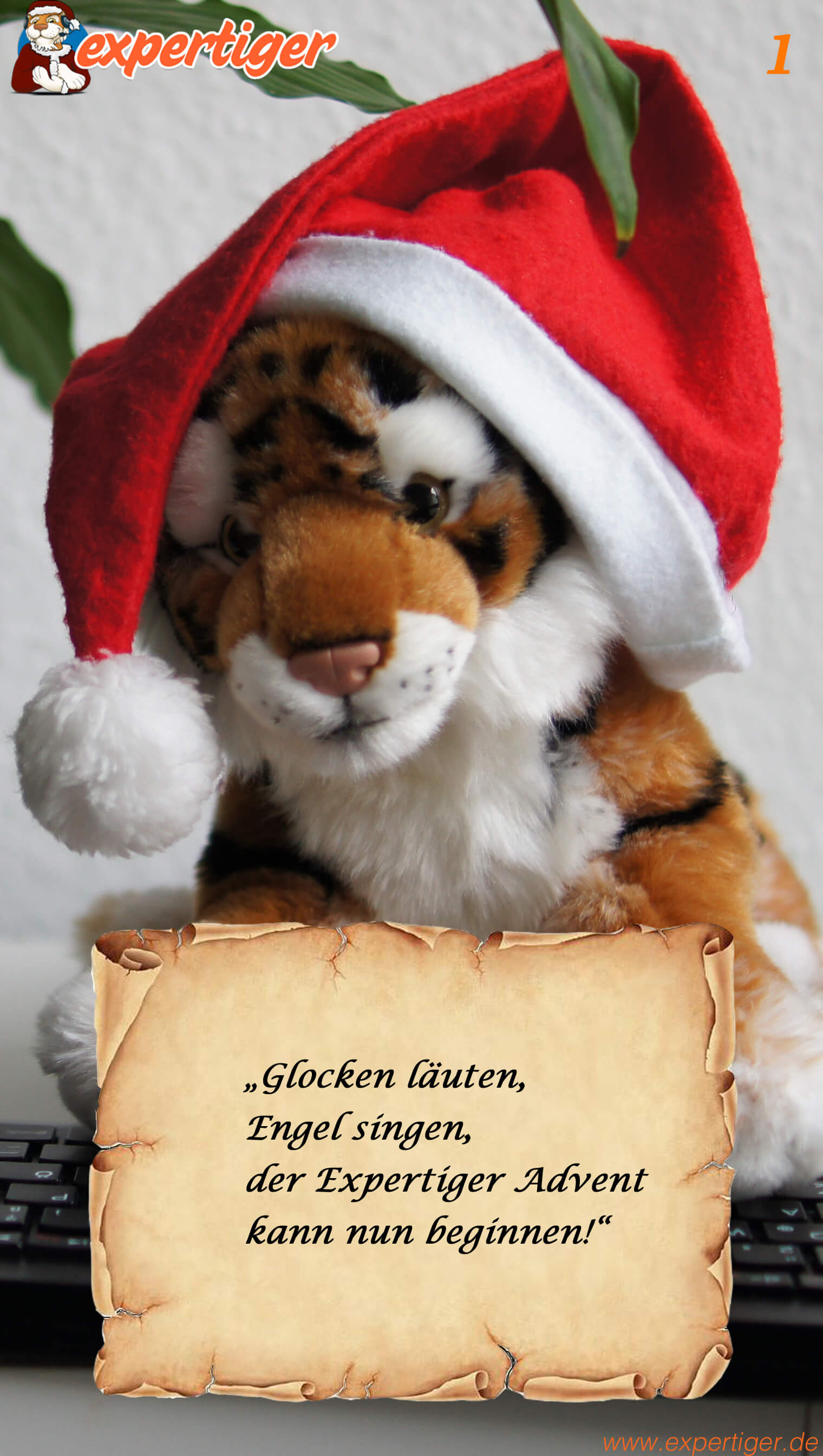 Lustige Bilder Adventszeit